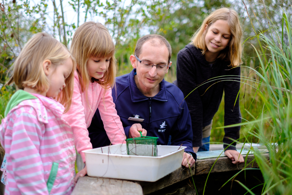 What lies at the bottom of 20-year-old ponds? 